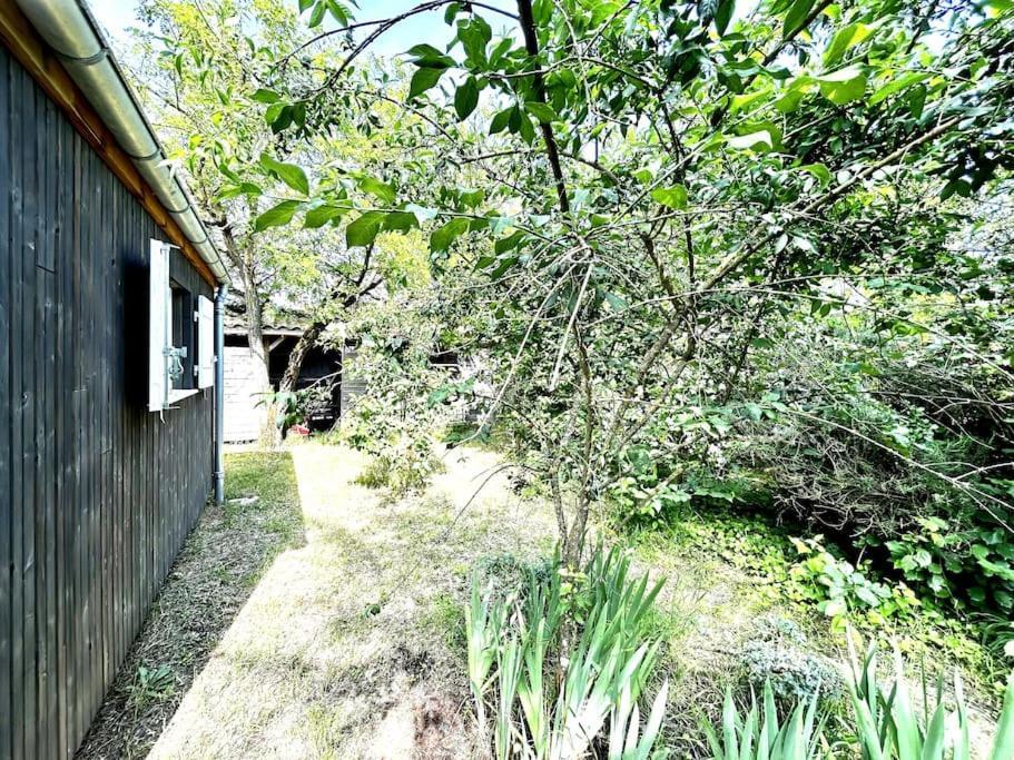 Harmonie - Agreable Maison Situee Dans Un Ecrin De Verdure Ла-Трамблад Екстер'єр фото